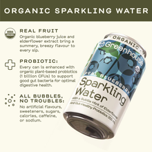 Load image into Gallery viewer, Greenhouse Organic Real Blueberry Sparkling Water 355ml
